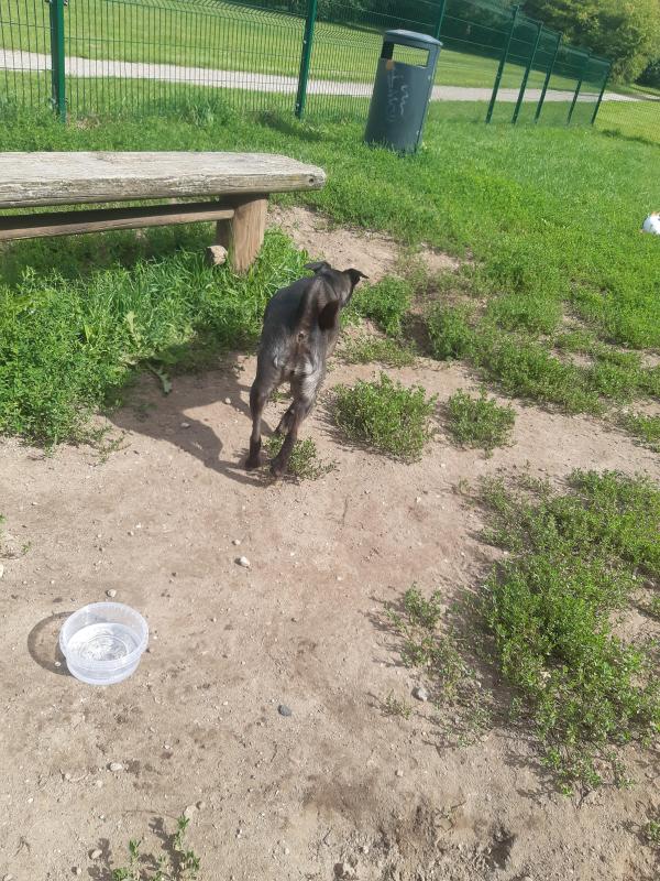 Alma uploaded   206  day/s  ago