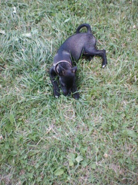 Alma uploaded   1 year/s ago