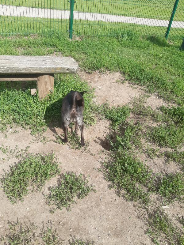 Alma uploaded   206  day/s  ago