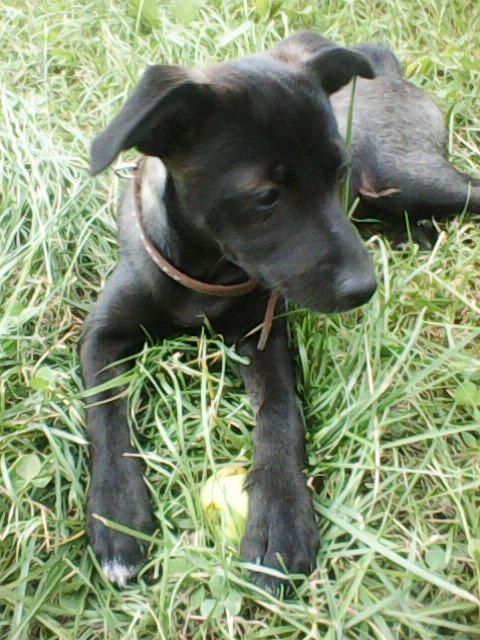 Alma uploaded   1 year/s ago