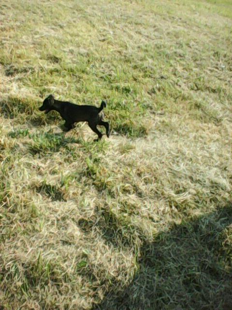 Alma uploaded   1 year/s ago