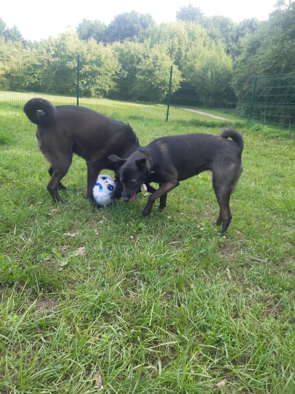 Alma uploaded   5  day/s  ago