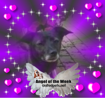 Alma uploaded   42  day/s  ago