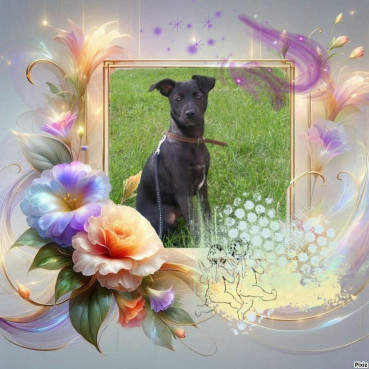 Alma uploaded   42  day/s  ago