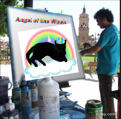 Alma uploaded   42  day/s  ago