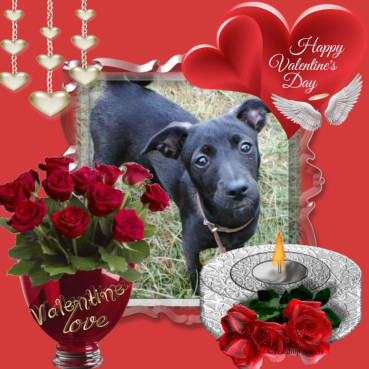 Alma uploaded   42  day/s  ago