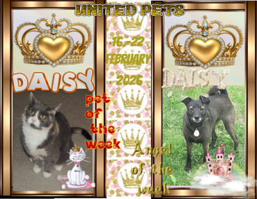 Alma uploaded   42  day/s  ago