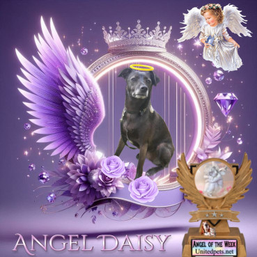 Alma uploaded   42  day/s  ago