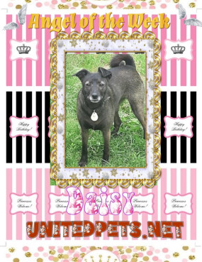 Alma uploaded   42  day/s  ago