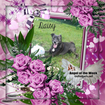 Alma uploaded   42  day/s  ago