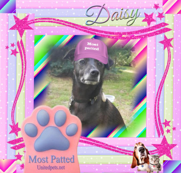 Alma uploaded   42  day/s  ago