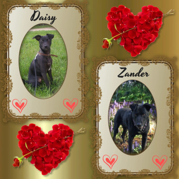 Alma uploaded   42  day/s  ago