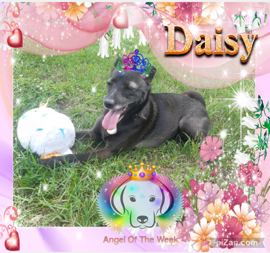 Alma uploaded   42  day/s  ago