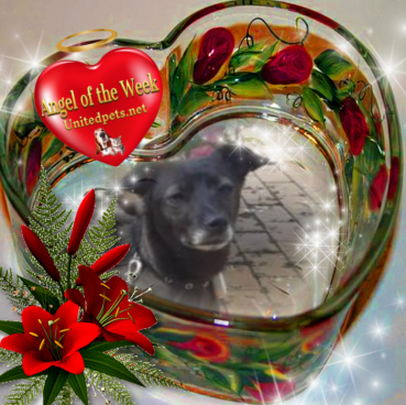 Alma uploaded   42  day/s  ago