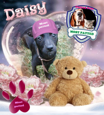 Alma uploaded   42  day/s  ago