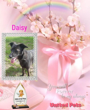 Alma uploaded   42  day/s  ago