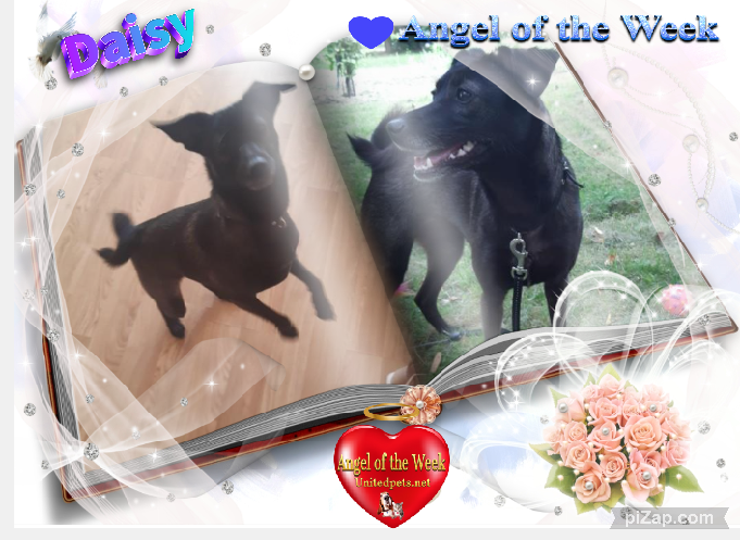 Alma uploaded   42  day/s  ago