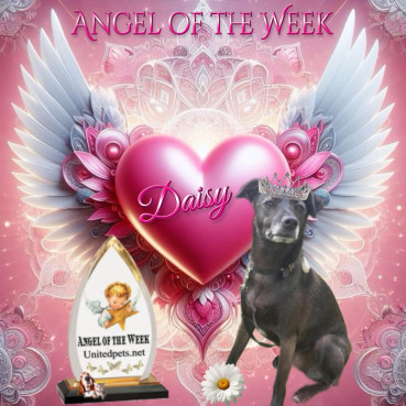 Alma uploaded   42  day/s  ago