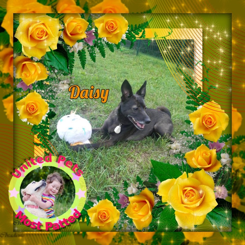 Alma uploaded   42  day/s  ago