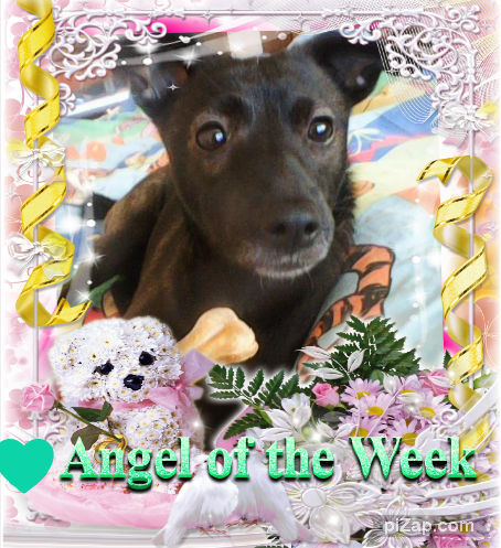 Alma uploaded   42  day/s  ago