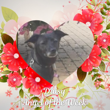 Alma uploaded   42  day/s  ago