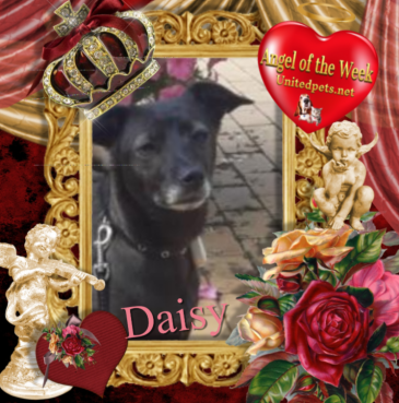 Alma uploaded   42  day/s  ago