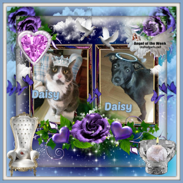 Alma uploaded   42  day/s  ago