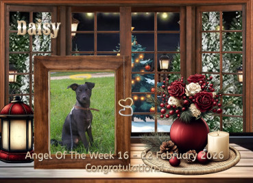 Alma uploaded   42  day/s  ago