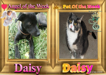 Alma uploaded   42  day/s  ago