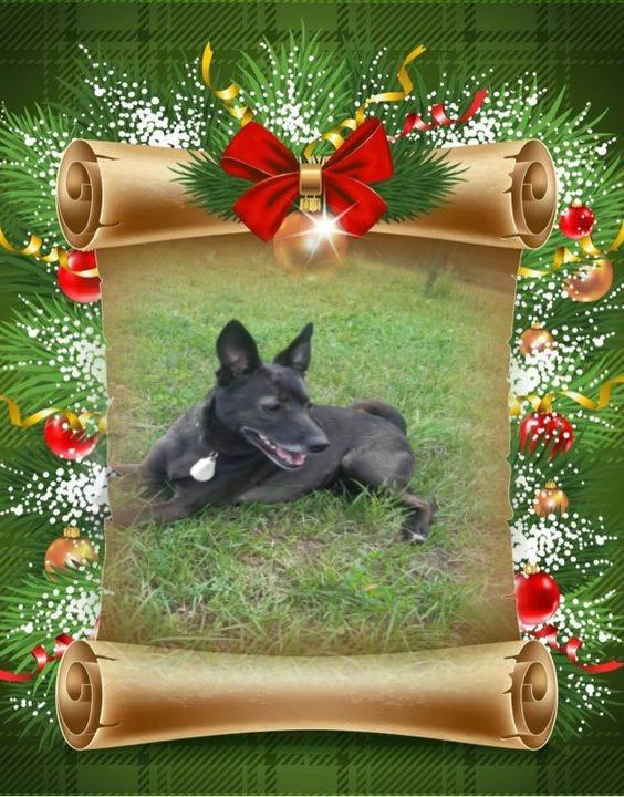 Alma uploaded   42  day/s  ago