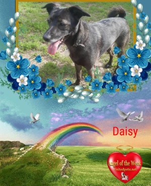 Alma uploaded   42  day/s  ago