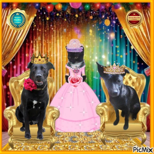 Daisy of the Alma family