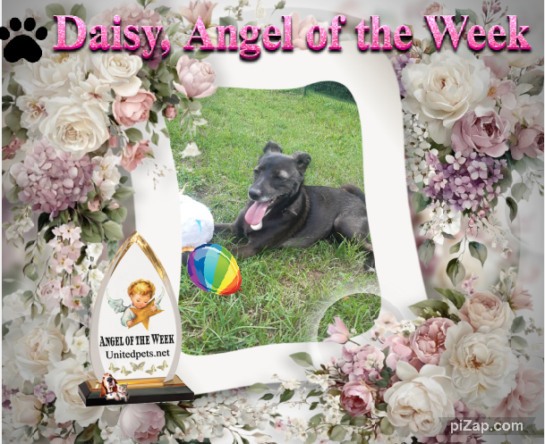 Alma uploaded   42  day/s  ago