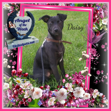 Alma uploaded   42  day/s  ago