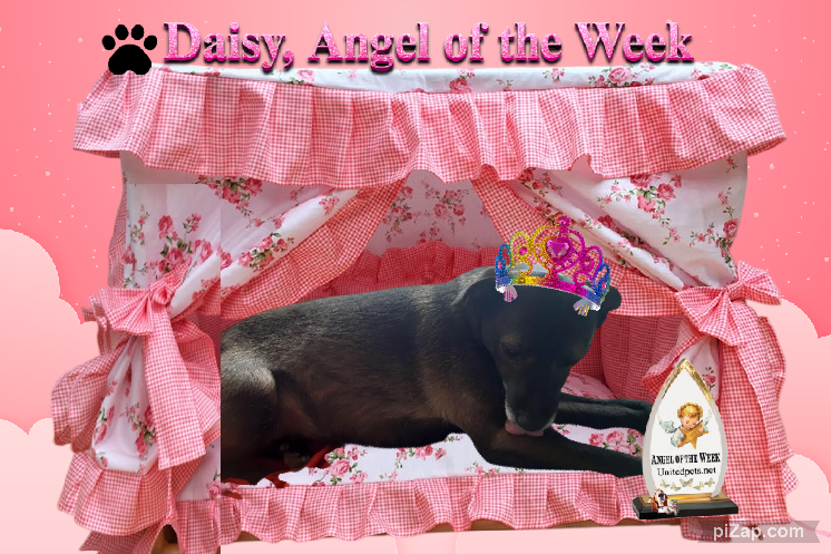 Alma uploaded   42  day/s  ago