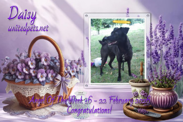 Alma uploaded   42  day/s  ago