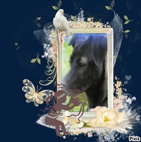 Alma uploaded   42  day/s  ago