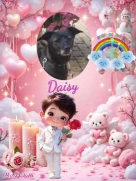 Alma uploaded   42  day/s  ago