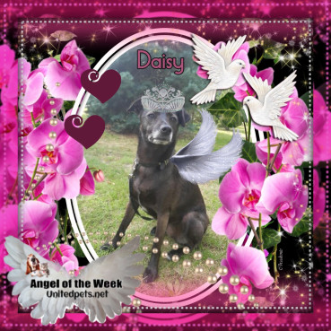 Alma uploaded   42  day/s  ago