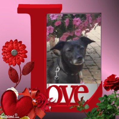 Daisy of the Alma family