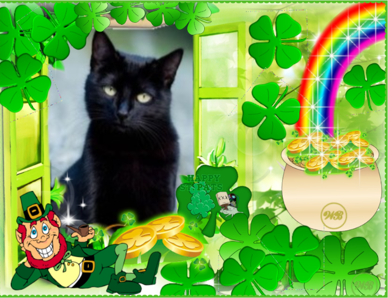 Tito of the Asiya family