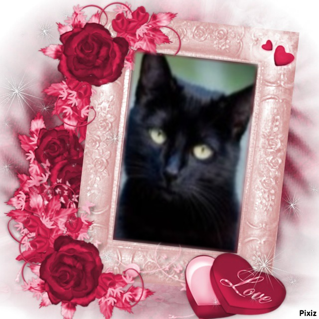 Tito of the Asiya family