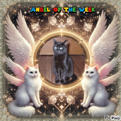 Asiya uploaded   43  day/s  ago