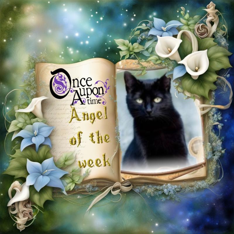 Asiya uploaded   43  day/s  ago