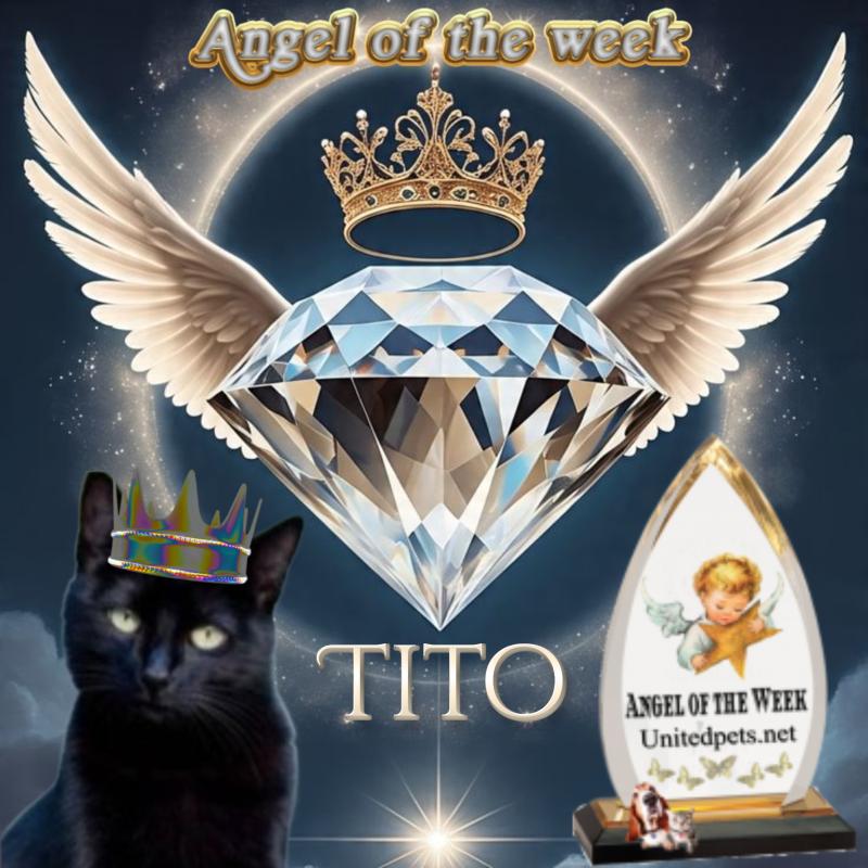 Asiya uploaded   43  day/s  ago