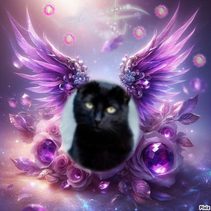 Asiya uploaded   43  day/s  ago