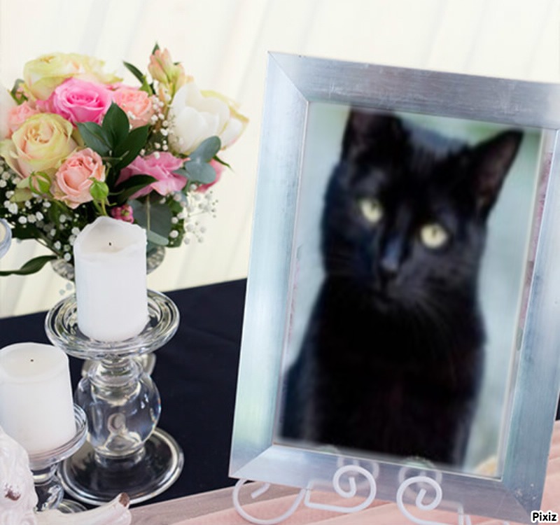 Asiya uploaded   43  day/s  ago