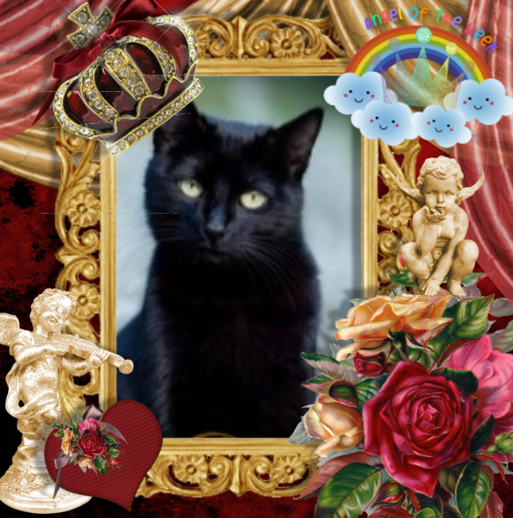 Asiya uploaded   35  day/s  ago