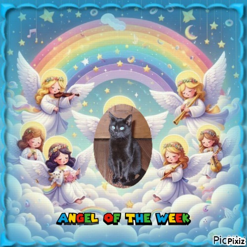 Asiya uploaded   44  day/s  ago