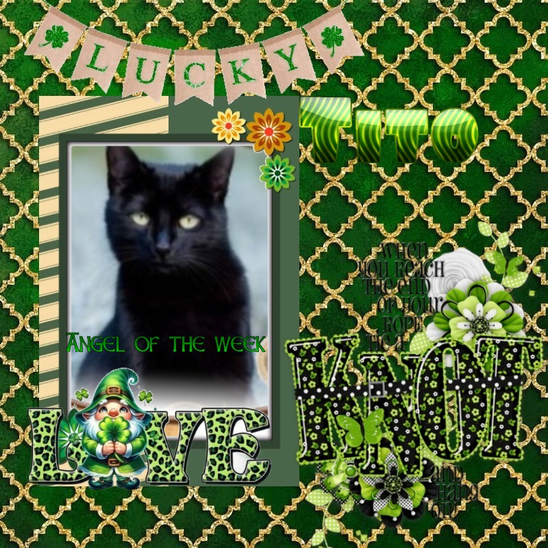 Asiya uploaded   44  day/s  ago